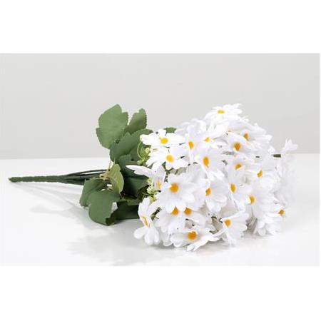 Renkli Papatya Demeti