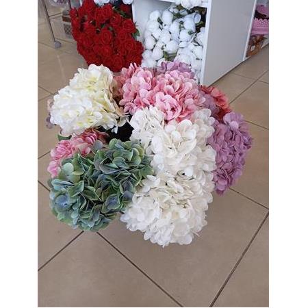 Islak Ortanca Demeti