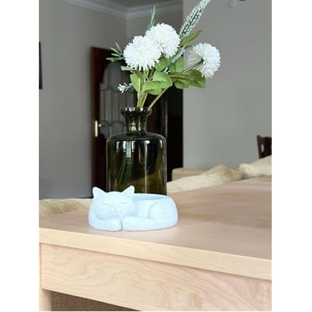 Kedi Kase Silikon Kalıp