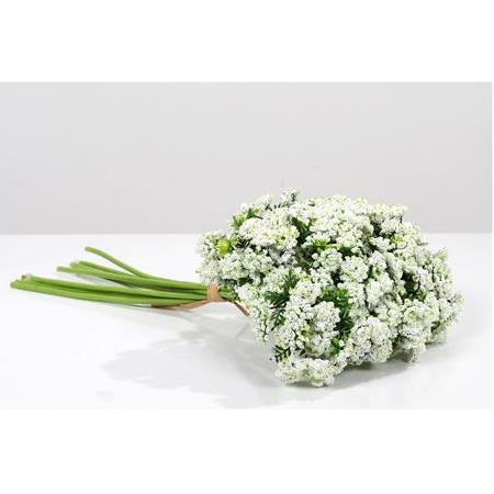 YENİ CİPSO BUKETİ